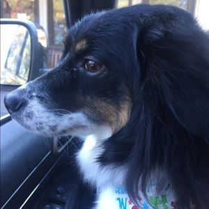 Meet your Posher, Beth